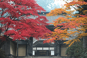 Mt Koya Temple